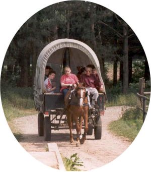 xruiterkamp 1eaa1e17.jpg.pagespeed.ic.qpcsrm6oyc