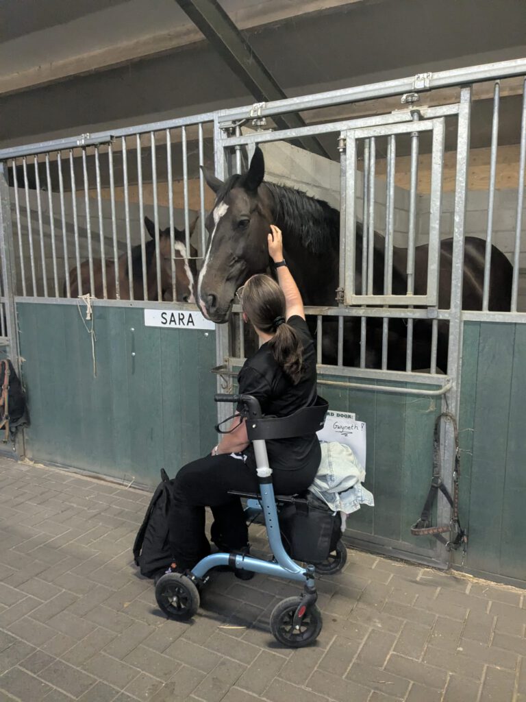 afbeelding van whatsapp op 2025 10 15 om 16.14.53 41e19503