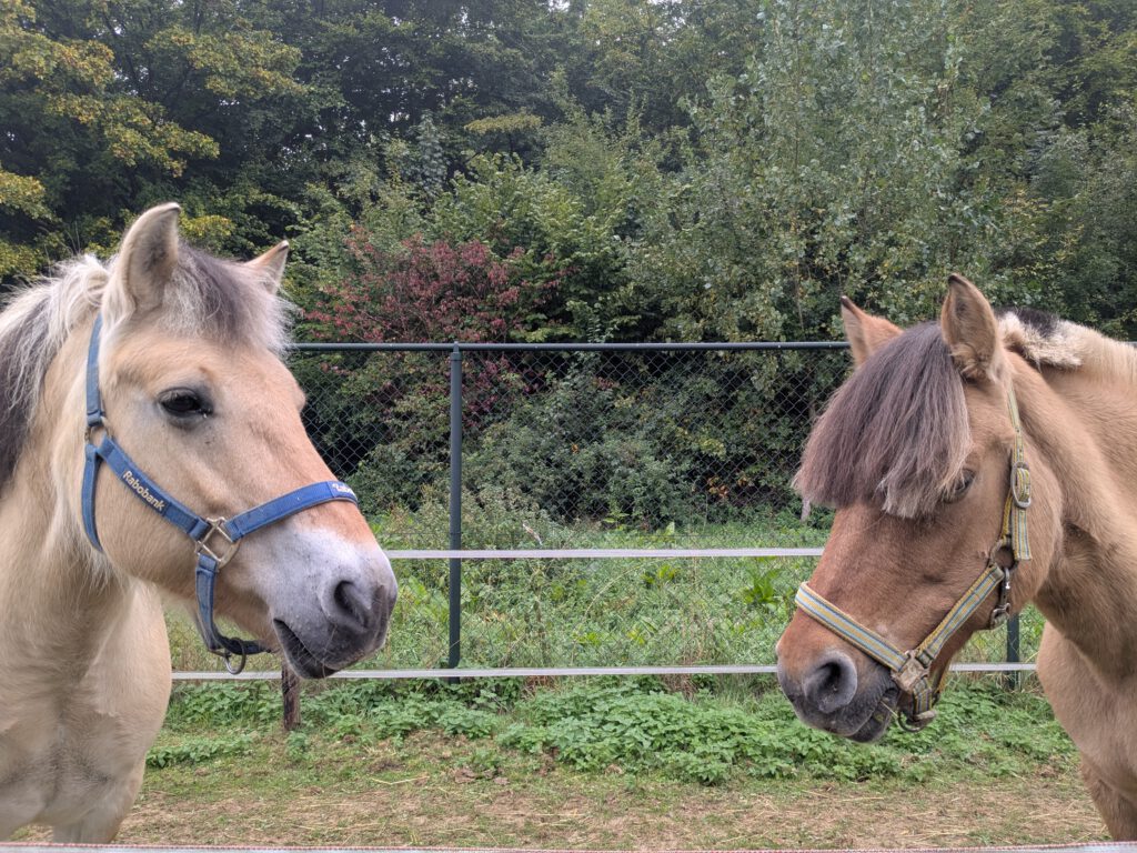 pxl 20251001 084718127.mp