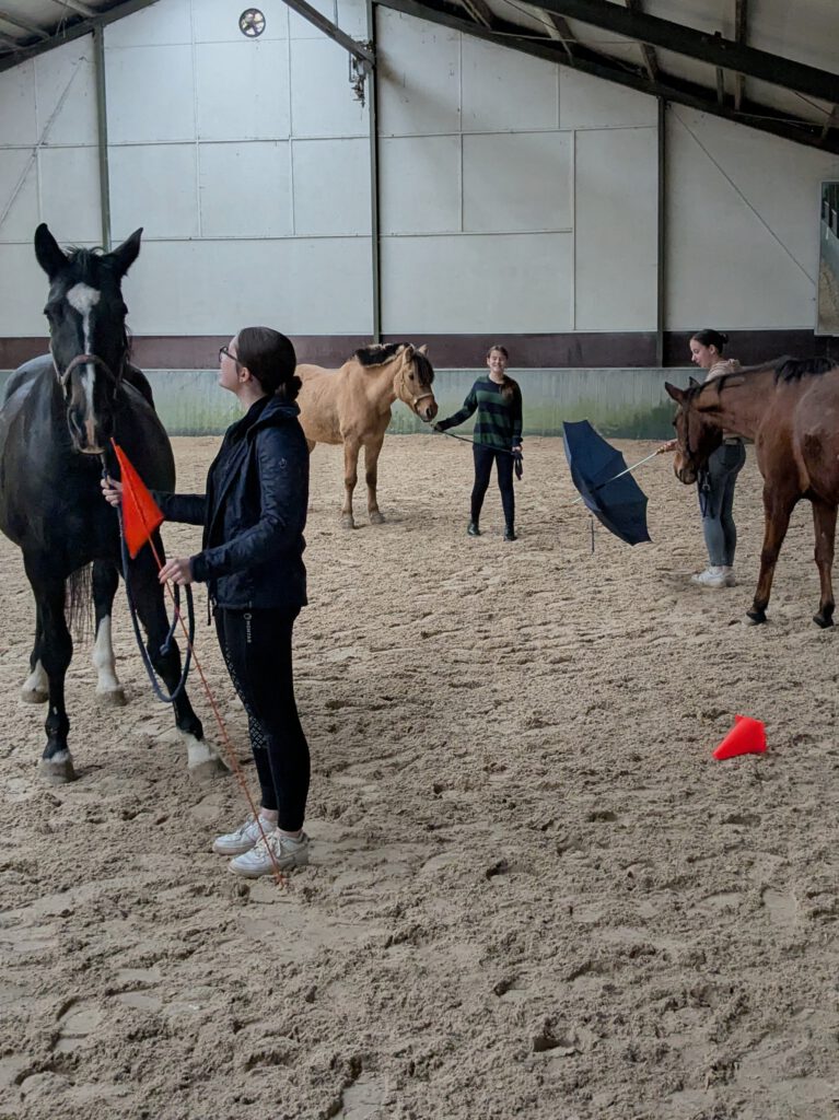 pxl 20251101 121528379.mp~2